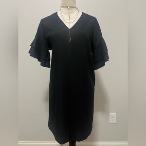 Banana Republic Women's Size 2 Ruffle Sleeves Shift Dress Black EUC no fading
